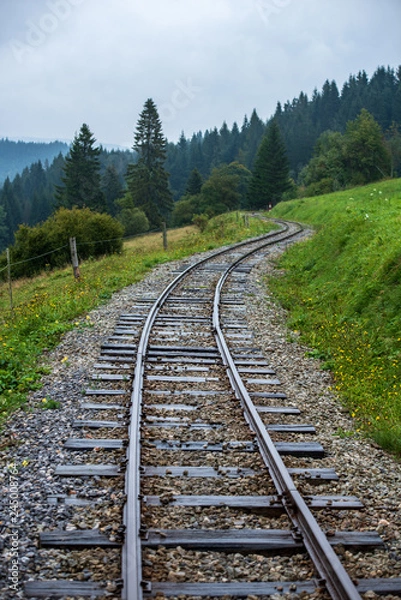 Obraz wavy log railway tracks in wet green forest with fresh meadows