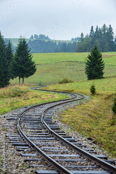 Obraz wavy log railway tracks in wet green forest with fresh meadows