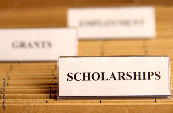 Obraz scholarships