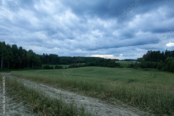 Fototapeta landscape with clouds