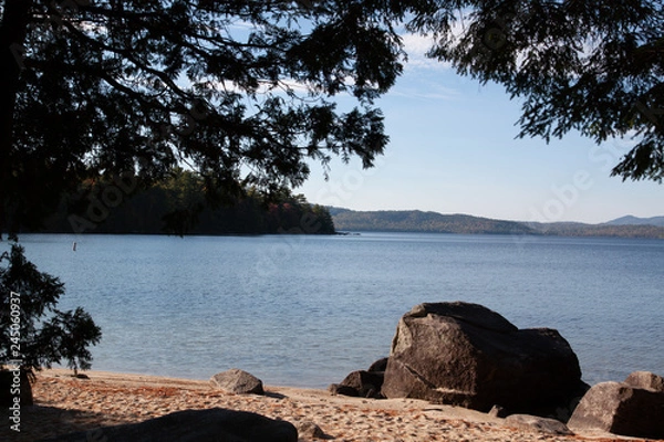 Obraz Lakeside Shade