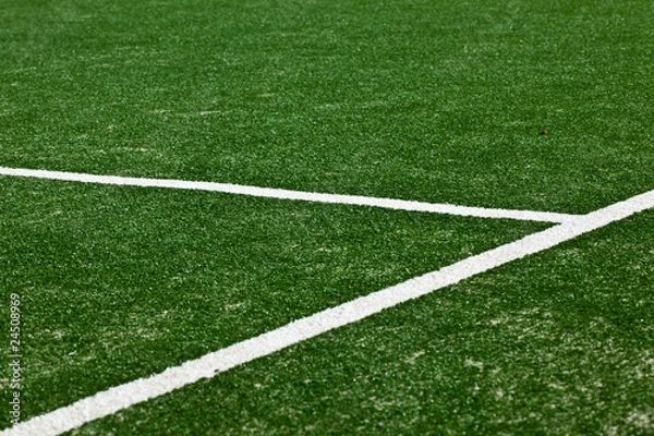 Obraz White Markings