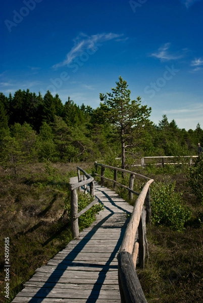 Obraz Rhön (Black Moor)