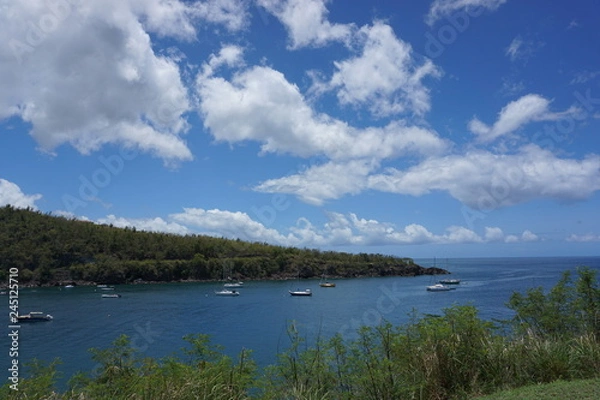 Obraz Caribbean port