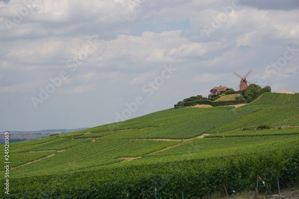 Obraz Champagne landscape windmill
