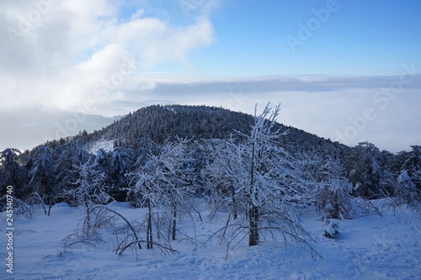 Obraz Schwarzwaldstrasse