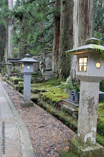 Fototapeta 高野山奥之院参道のお地蔵さま