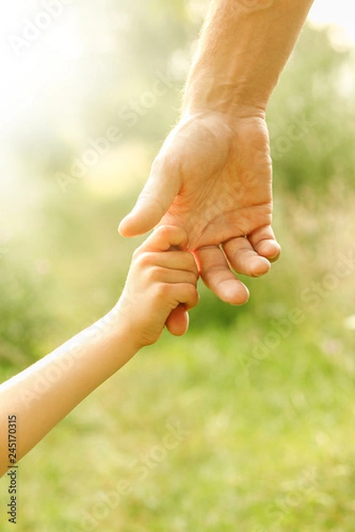 Fototapeta hands of parent and child in nature