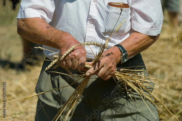 Fototapeta wiejski 4