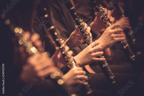 Obraz CLARINETES 2