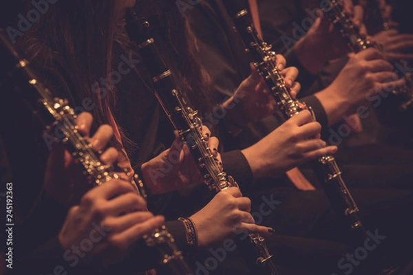 Obraz CLARINETES