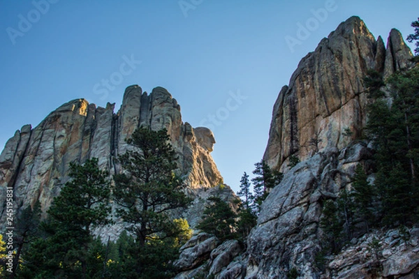 Fototapeta Mount Rushmore