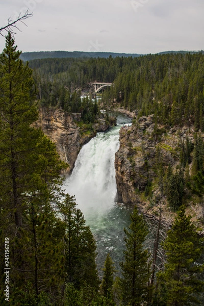 Fototapeta waterfall in forest