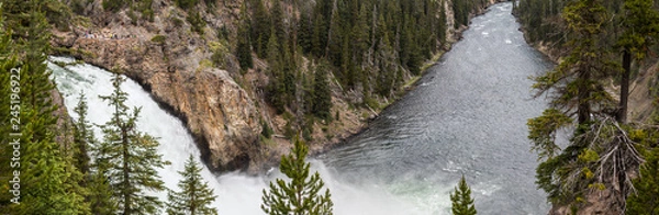 Fototapeta waterfall in forest