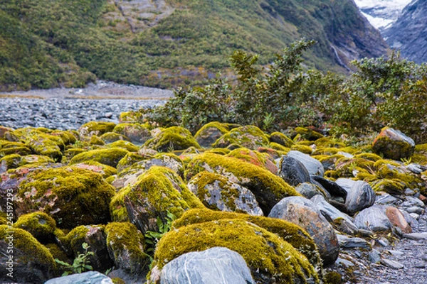 Fototapeta Mossy Rocks