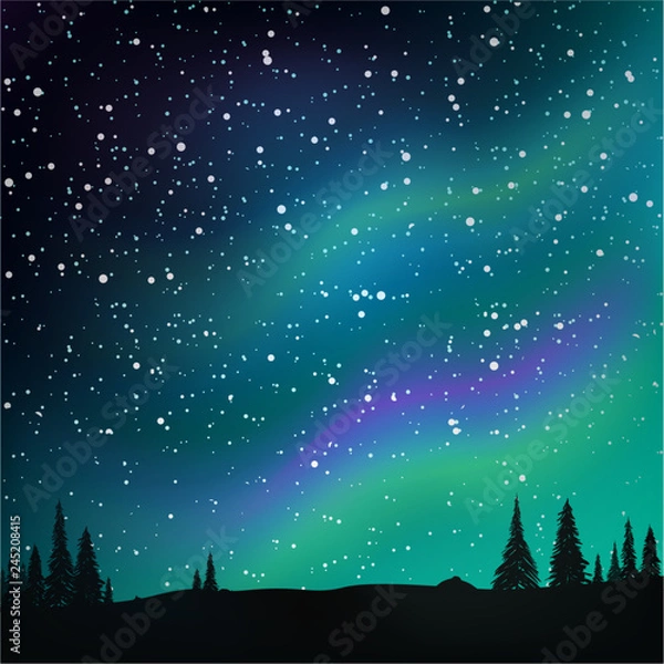 Fototapeta Northern lights in the starry sky and pine forest. Vector illustration.