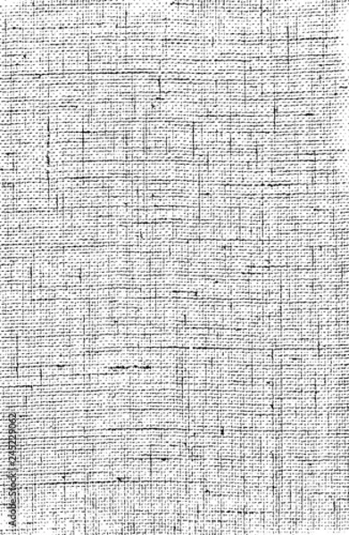 Fototapeta Leather skin texture,crack in vector.