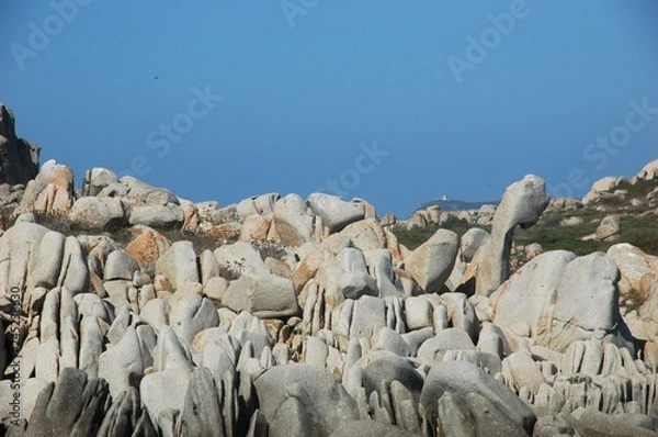 Fototapeta Corse 101