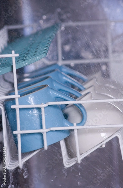 Obraz Dishwasher