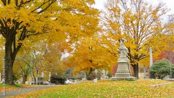Fototapeta autumn in the park
