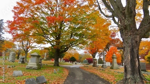 Obraz autumn in the park