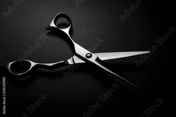 Obraz professional scissors on black background