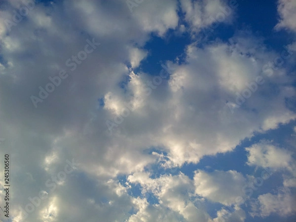 Fototapeta Entanglement