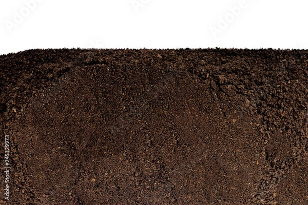 Fototapeta ziemia na białym tle