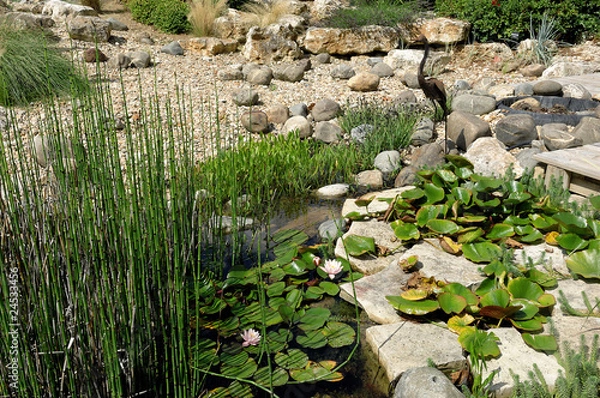 Obraz jardin aquatique