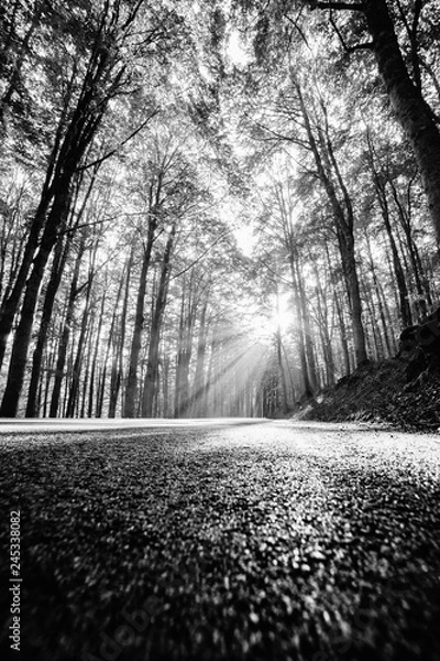 Obraz parco nazionale d'abruzzo