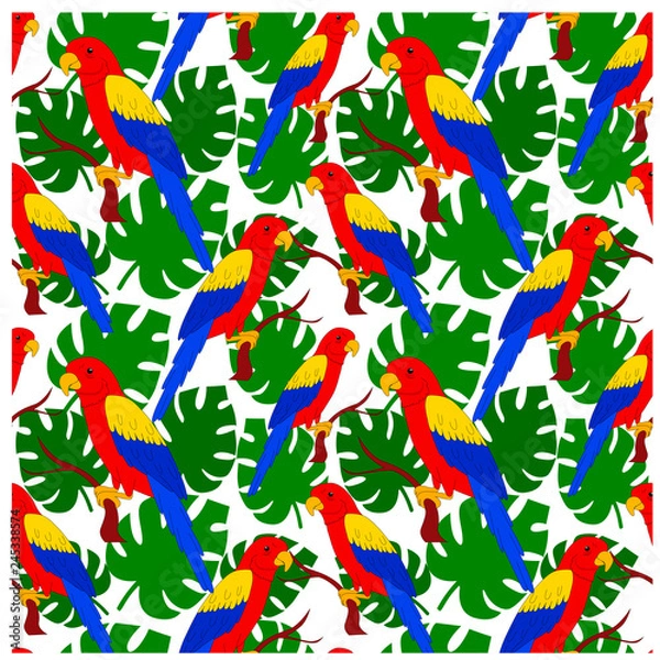 Fototapeta  vector illustration parrot pattern