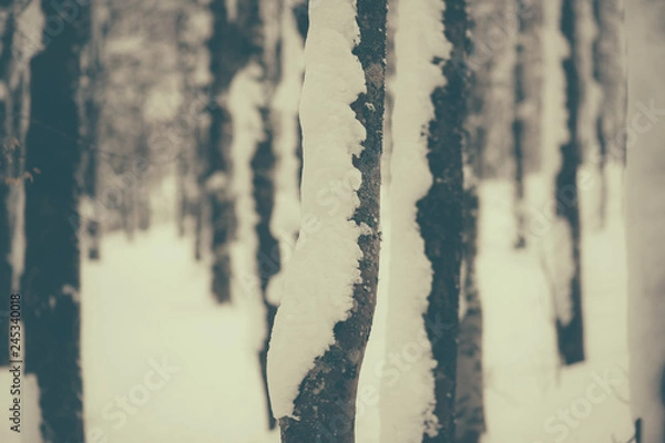 Obraz parco nazionale d'abruzzo
