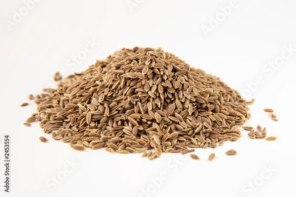 Fototapeta dill seeds macro