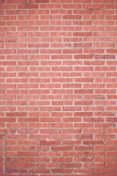 Fototapeta Backstein Wand 