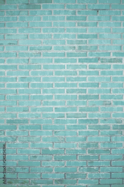 Fototapeta Backstein Wand 