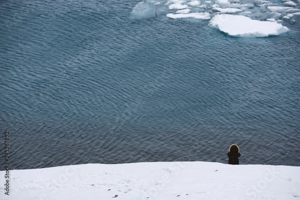 Obraz Solitude in icebergs lagoon