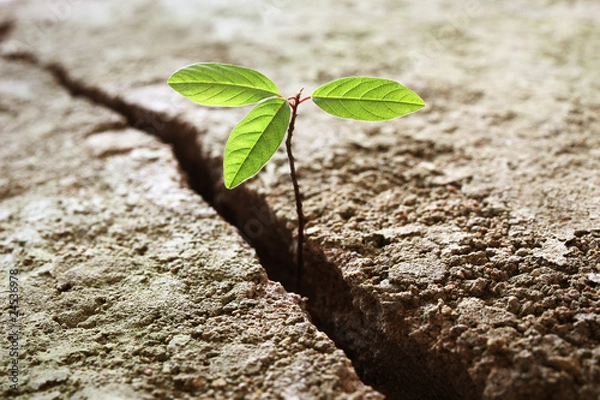 Obraz Koncepcja firmy przebić się