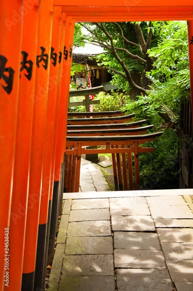 Obraz Orange Japanese Arches leading to Temple