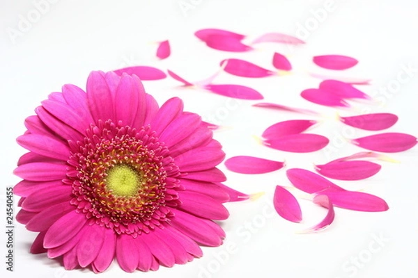 Fototapeta Liebeskummer