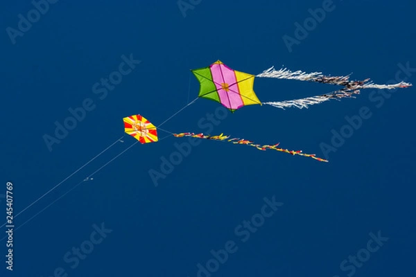 Obraz Kite in the sky.