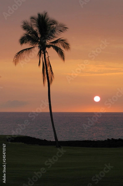 Obraz Hawaiian Sunset 3