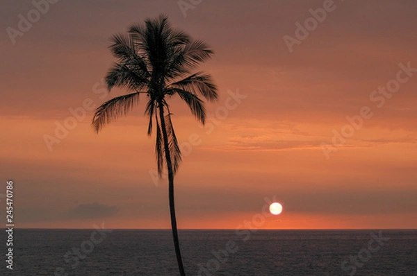 Obraz Hawaiian Sunset 1