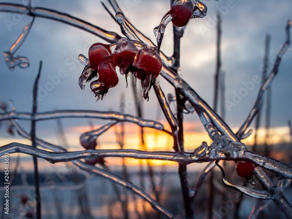 Obraz Prison de glace