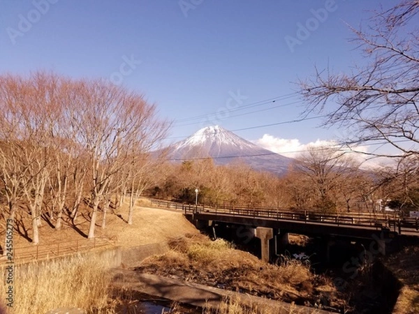 Fototapeta 富士山