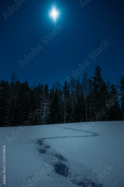 Obraz Footsteps in snowy field moonlight
