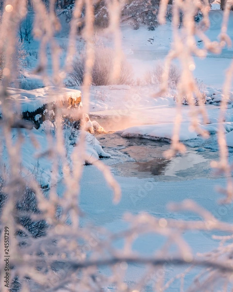 Obraz Icy winter river trough frosty branches