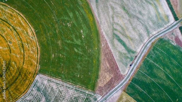 Obraz circle crop fields seen from above