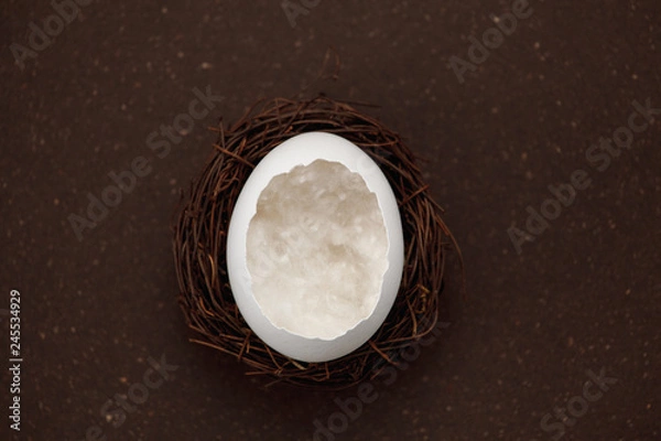 Fototapeta White egg in a nest on a dark background