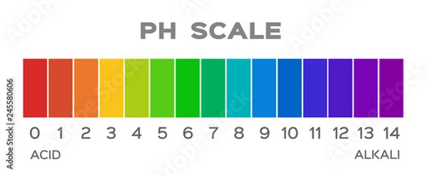 Fototapeta ph scale vector graphic . acid to base