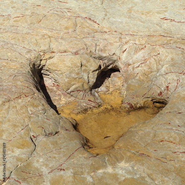 Fototapeta OLYMPUS DIGITAL CAMERA